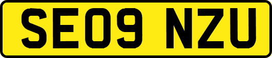 SE09NZU