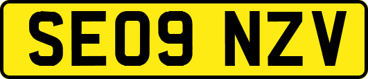 SE09NZV