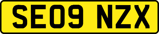 SE09NZX