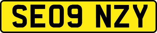 SE09NZY