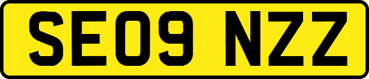 SE09NZZ