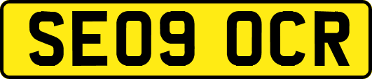 SE09OCR