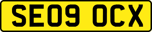 SE09OCX