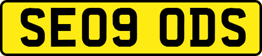 SE09ODS