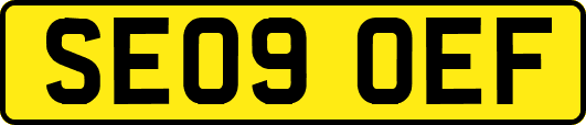 SE09OEF