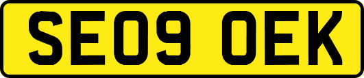 SE09OEK