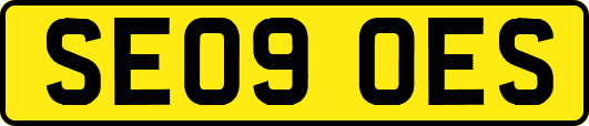 SE09OES