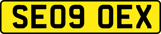 SE09OEX