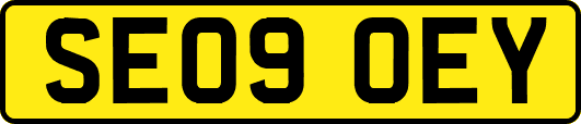 SE09OEY