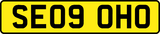 SE09OHO