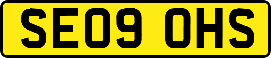 SE09OHS