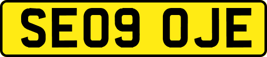 SE09OJE