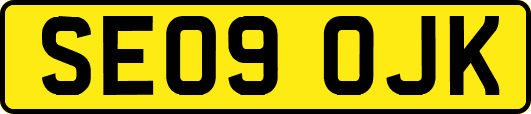 SE09OJK