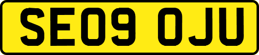 SE09OJU
