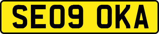 SE09OKA