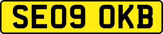 SE09OKB