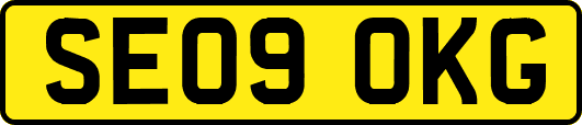 SE09OKG