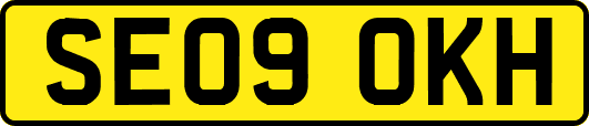 SE09OKH