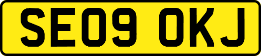 SE09OKJ