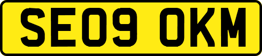 SE09OKM