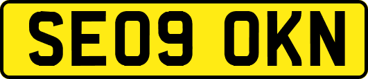 SE09OKN