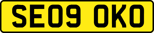 SE09OKO