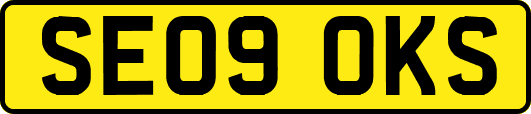 SE09OKS