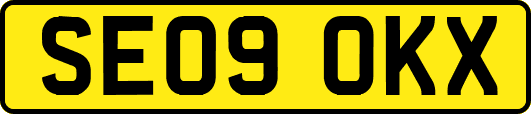 SE09OKX