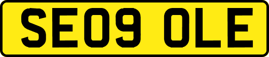 SE09OLE