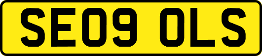 SE09OLS