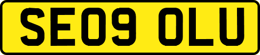 SE09OLU