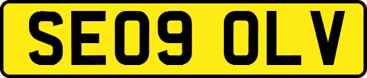 SE09OLV