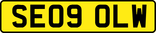 SE09OLW