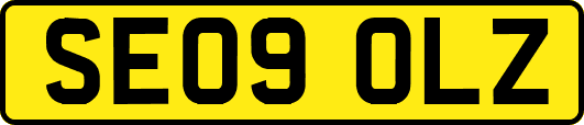 SE09OLZ