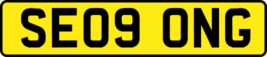 SE09ONG