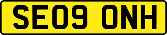 SE09ONH