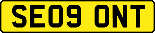 SE09ONT
