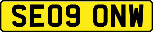 SE09ONW