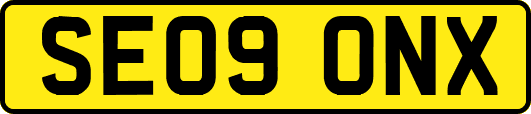 SE09ONX