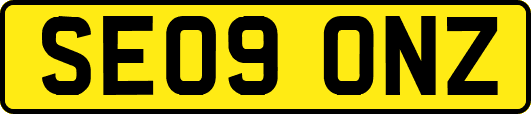 SE09ONZ