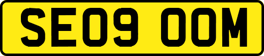 SE09OOM