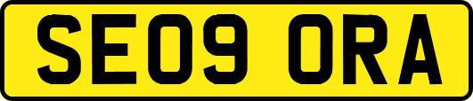 SE09ORA