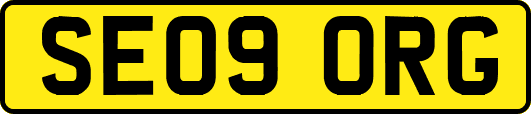 SE09ORG