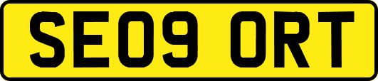 SE09ORT