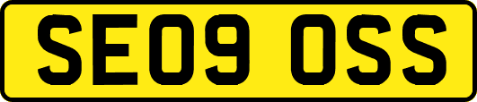SE09OSS