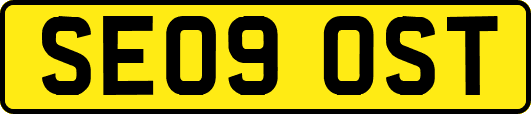 SE09OST