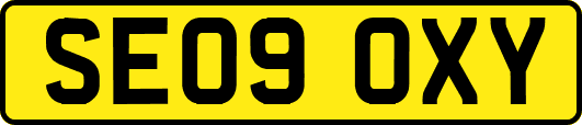 SE09OXY