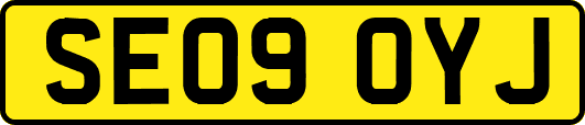 SE09OYJ