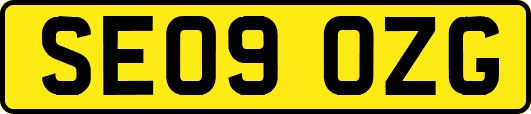 SE09OZG
