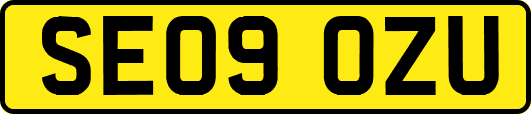 SE09OZU